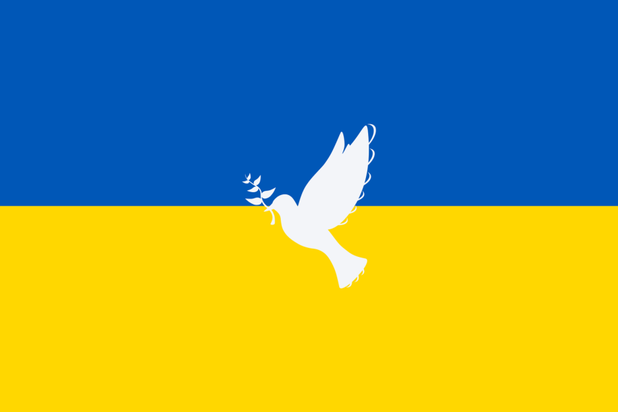 Ukraine+war+bringing+a+newfound+sense+of+admiration