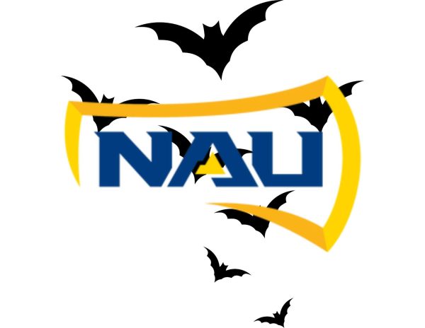 Bat Infestation at NAU Remains Unresolved